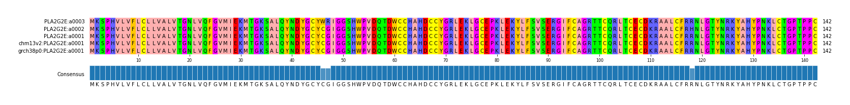 Multiple Alignments (by translate haplotype similarity)