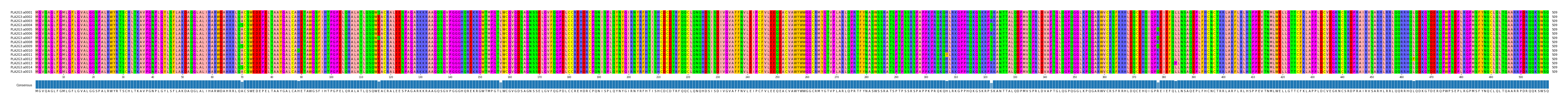 Multiple Alignments (by translate haplotype frequency)