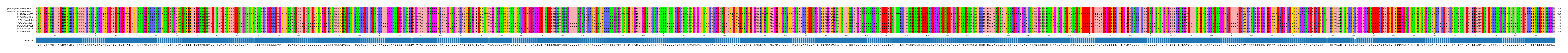Multiple Alignments (by translate haplotype frequency)