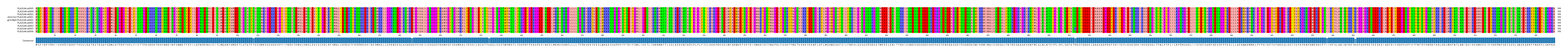 Multiple Alignments (by translate haplotype similarity)