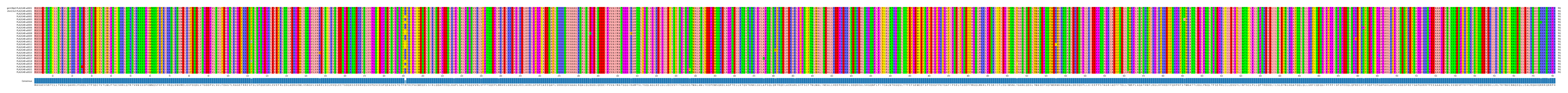 Multiple Alignments (by translate haplotype frequency)