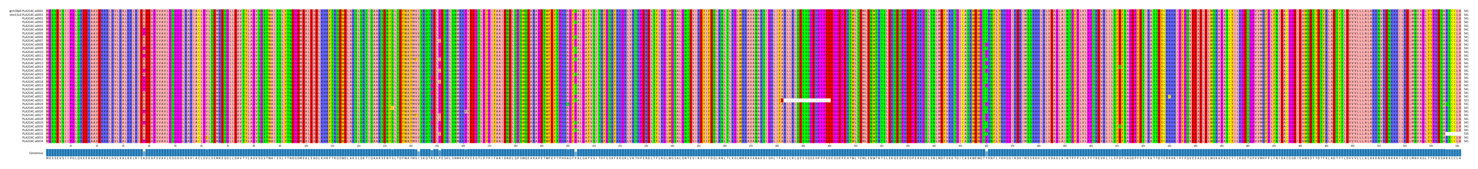 Multiple Alignments (by translate haplotype frequency)