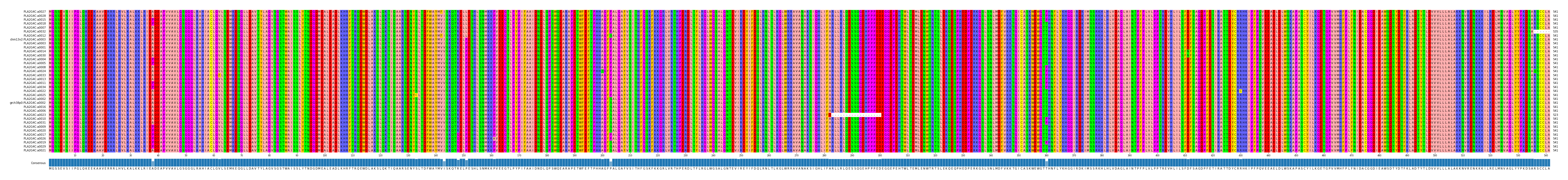 Multiple Alignments (by translate haplotype similarity)