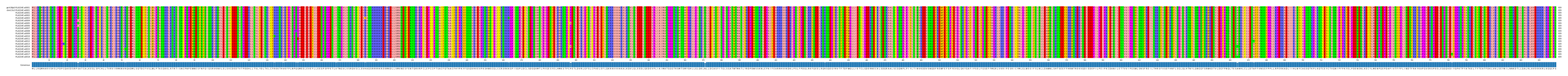 Multiple Alignments (by translate haplotype frequency)