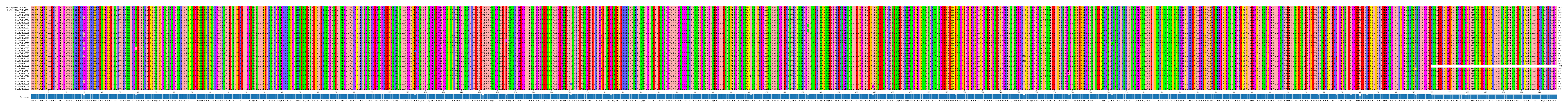Multiple Alignments (by translate haplotype frequency)