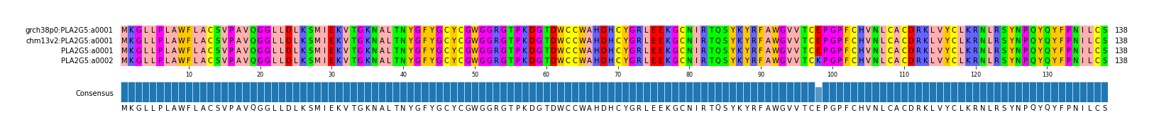 Multiple Alignments (by translate haplotype similarity)