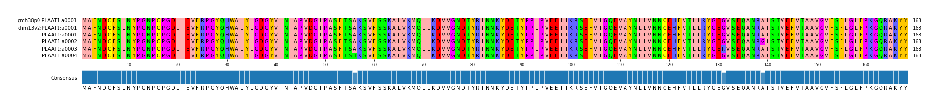 Multiple Alignments (by translate haplotype frequency)