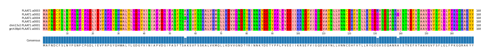 Multiple Alignments (by translate haplotype similarity)