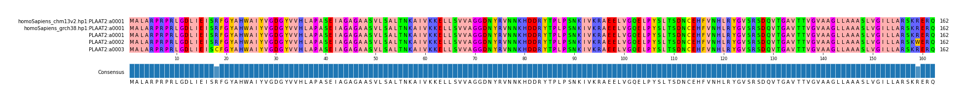 Multiple Alignments (by translate haplotype frequency)