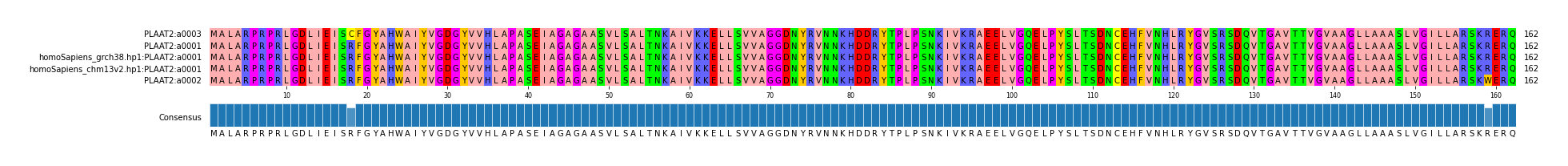 Multiple Alignments (by translate haplotype similarity)