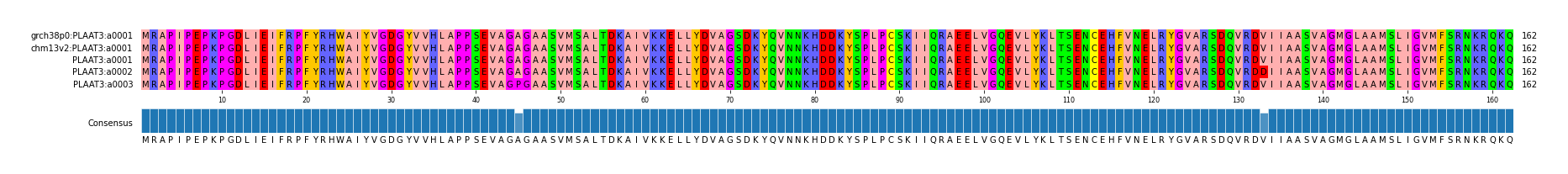 Multiple Alignments (by translate haplotype frequency)