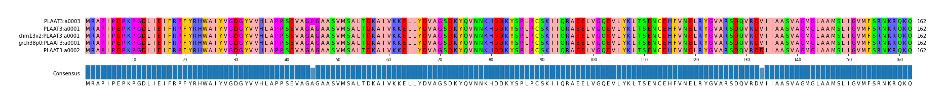 Multiple Alignments (by translate haplotype similarity)