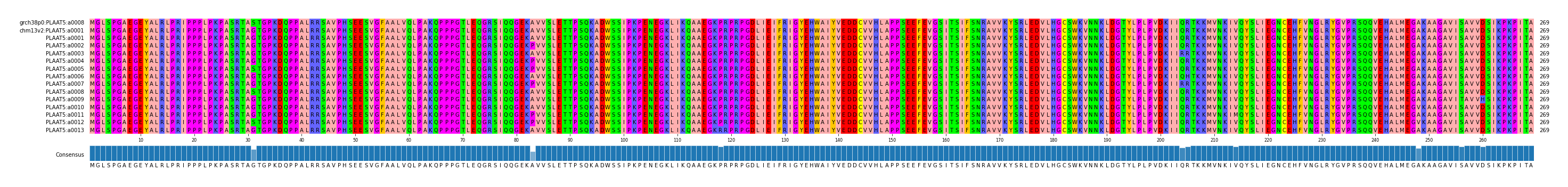 Multiple Alignments (by translate haplotype frequency)