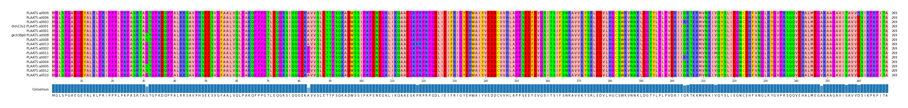 Multiple Alignments (by translate haplotype similarity)