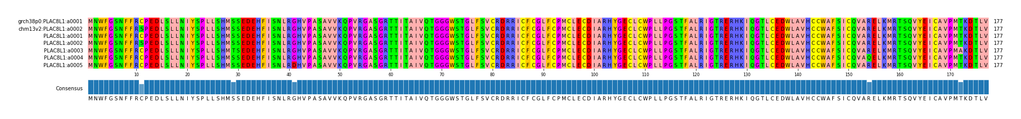 Multiple Alignments (by translate haplotype frequency)
