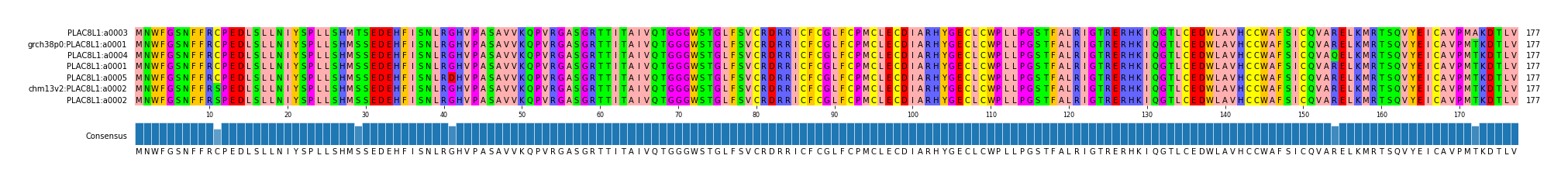 Multiple Alignments (by translate haplotype similarity)