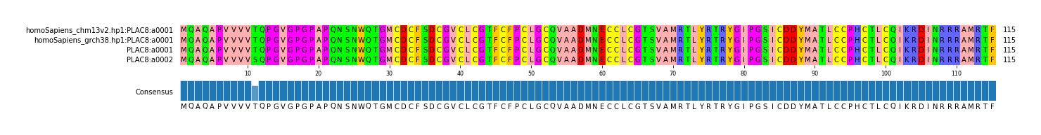 Multiple Alignments (by translate haplotype frequency)