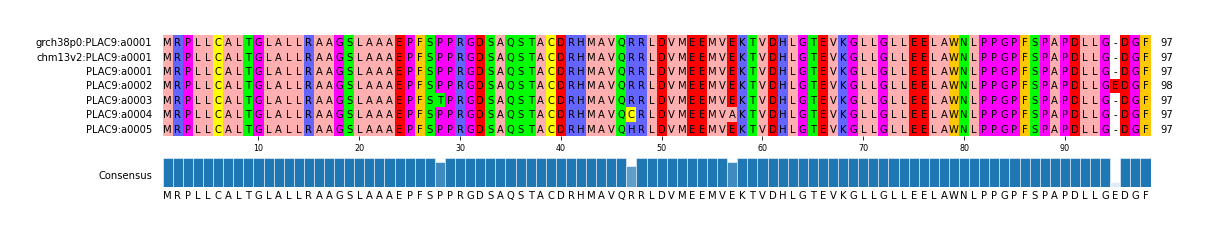 Multiple Alignments (by translate haplotype frequency)