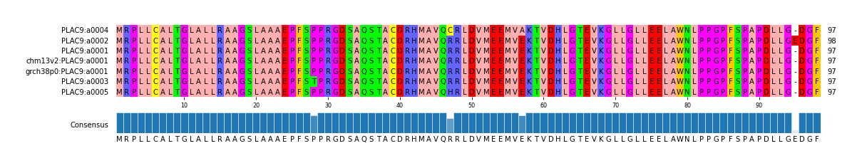 Multiple Alignments (by translate haplotype similarity)
