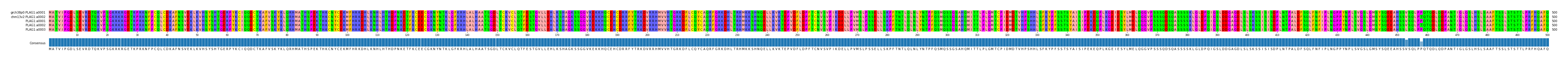 Multiple Alignments (by translate haplotype frequency)
