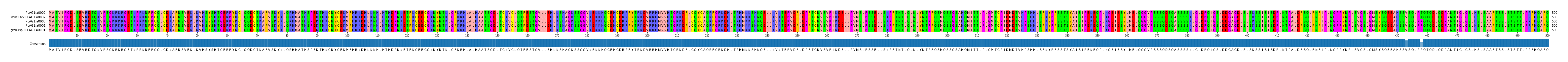 Multiple Alignments (by translate haplotype similarity)