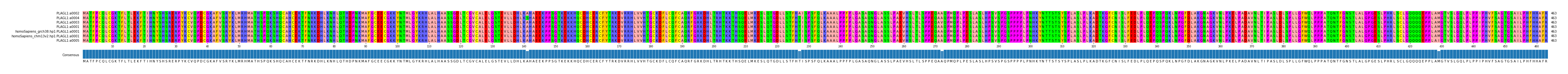 Multiple Alignments (by translate haplotype similarity)