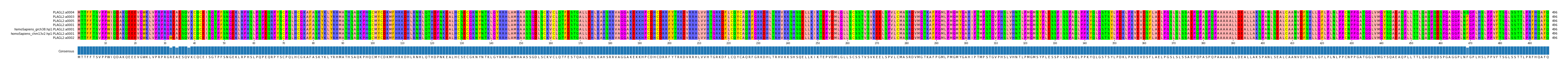 Multiple Alignments (by translate haplotype similarity)