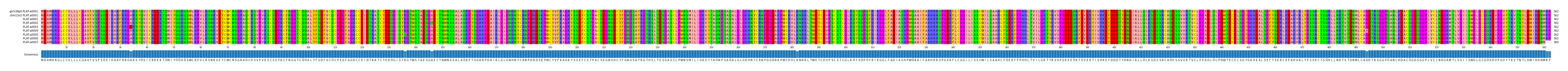 Multiple Alignments (by translate haplotype frequency)