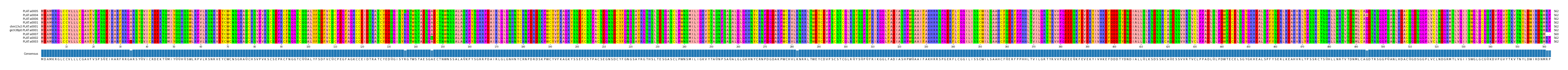 Multiple Alignments (by translate haplotype similarity)