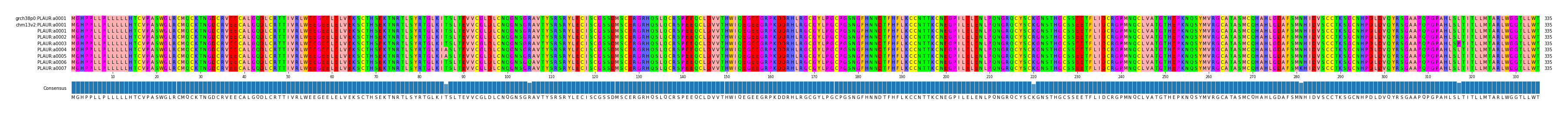 Multiple Alignments (by translate haplotype frequency)