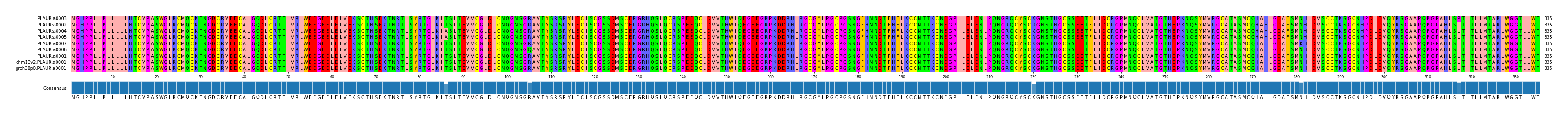 Multiple Alignments (by translate haplotype similarity)