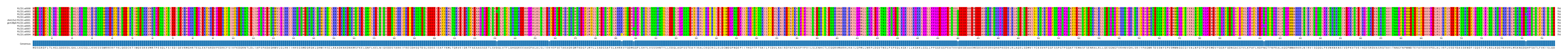 Multiple Alignments (by translate haplotype similarity)
