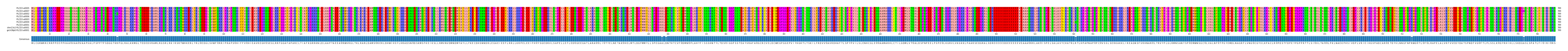 Multiple Alignments (by translate haplotype similarity)