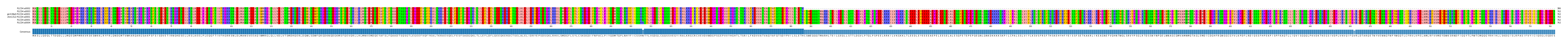 Multiple Alignments (by translate haplotype similarity)