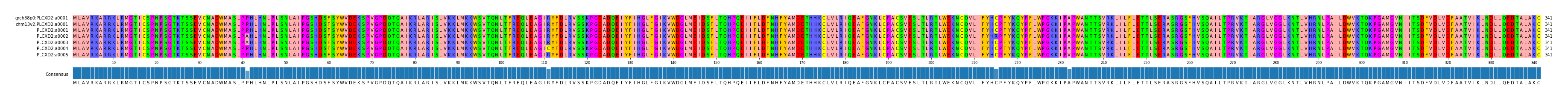 Multiple Alignments (by translate haplotype frequency)