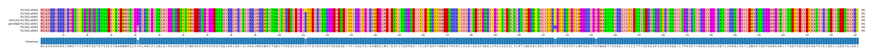 Multiple Alignments (by translate haplotype similarity)