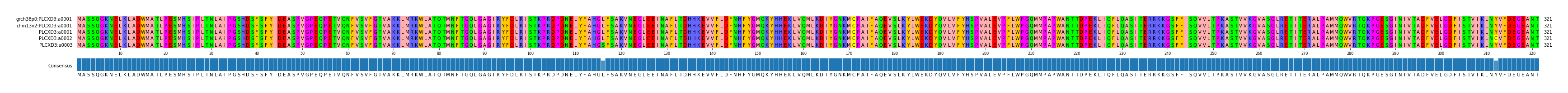 Multiple Alignments (by translate haplotype frequency)