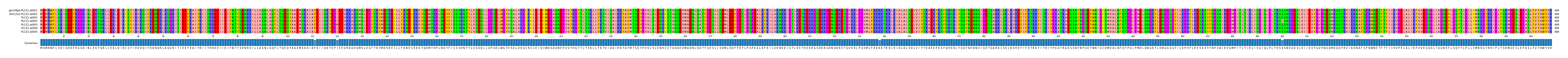 Multiple Alignments (by translate haplotype frequency)