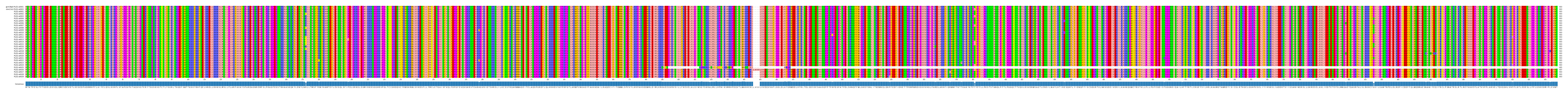 Multiple Alignments (by translate haplotype frequency)