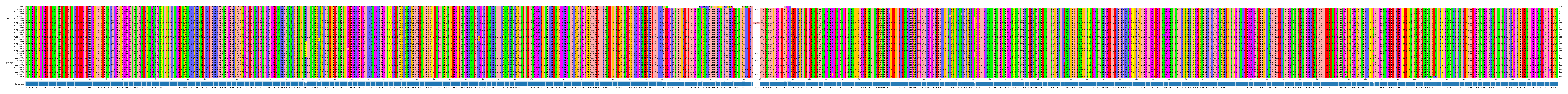 Multiple Alignments (by translate haplotype similarity)
