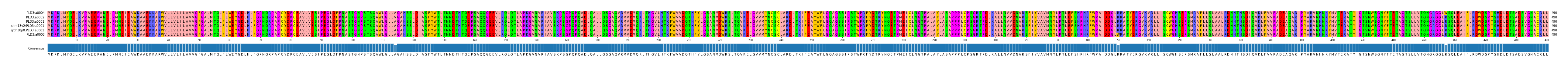 Multiple Alignments (by translate haplotype similarity)