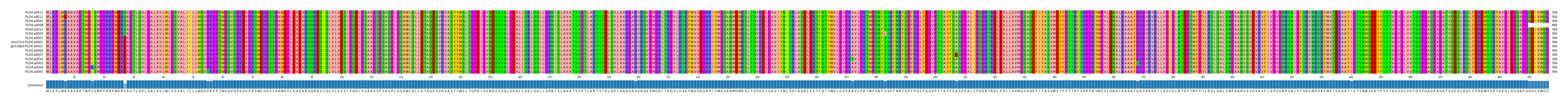Multiple Alignments (by translate haplotype similarity)