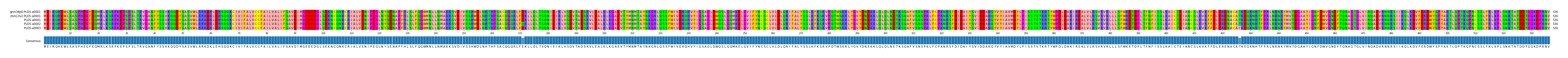 Multiple Alignments (by translate haplotype frequency)