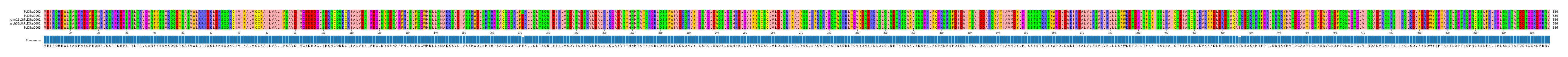 Multiple Alignments (by translate haplotype similarity)