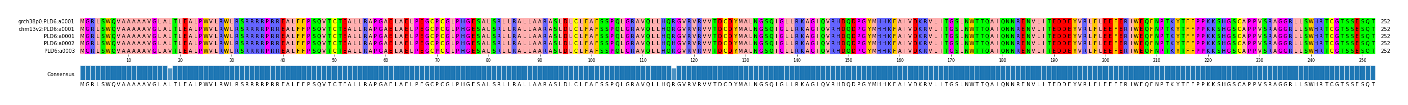 Multiple Alignments (by translate haplotype frequency)