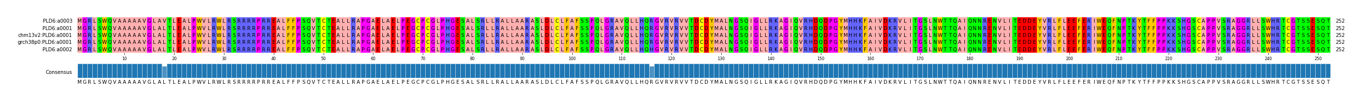 Multiple Alignments (by translate haplotype similarity)