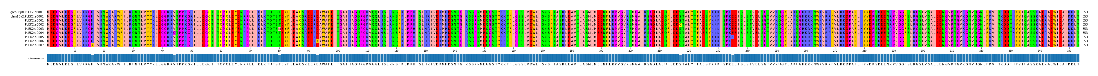 Multiple Alignments (by translate haplotype frequency)