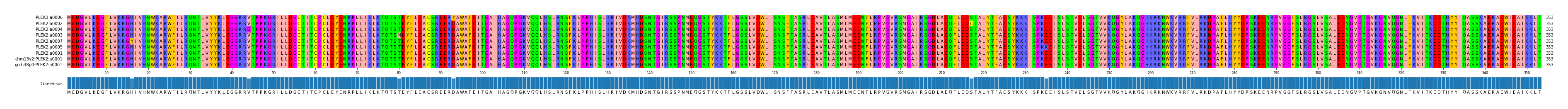 Multiple Alignments (by translate haplotype similarity)