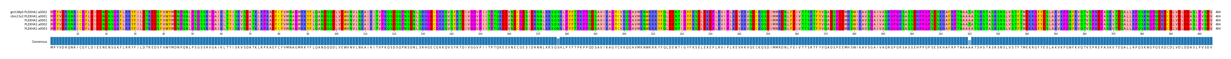 Multiple Alignments (by translate haplotype frequency)