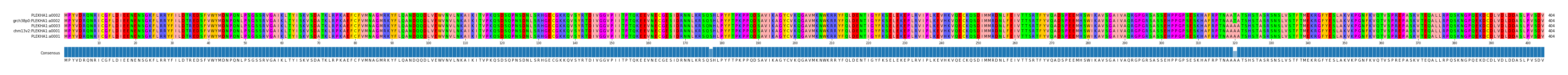 Multiple Alignments (by translate haplotype similarity)